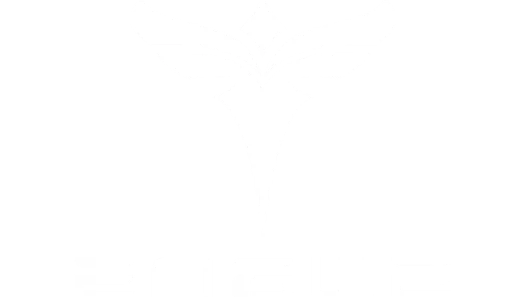 ENGWE Logo