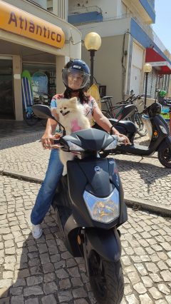 scooter-dog-time